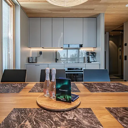 Peak By Aavalevi Holidays, Ski-in Ski-out, Mountain View Apartment