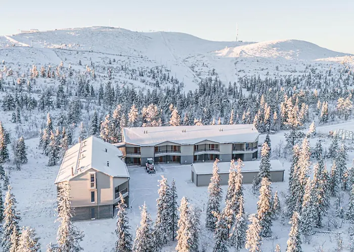 Peak Ski-in Ski-out By Aavalevi Apartament