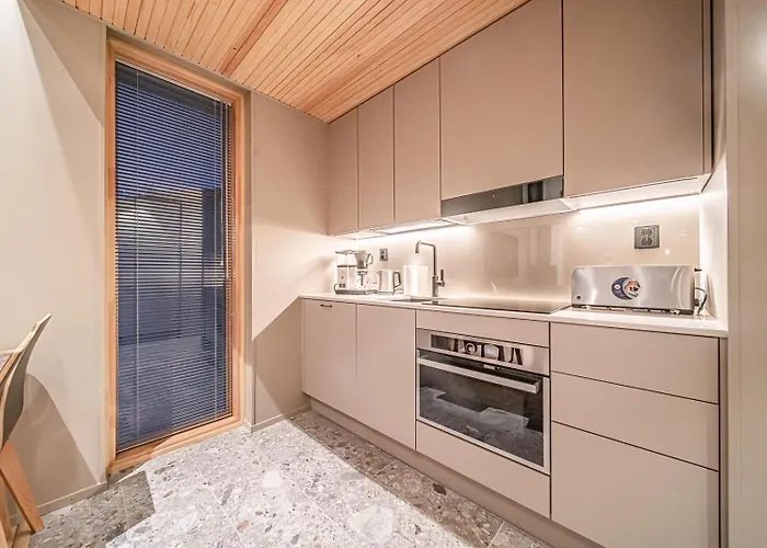 Apartament Peak Ski-in Ski-out By Aavalevi