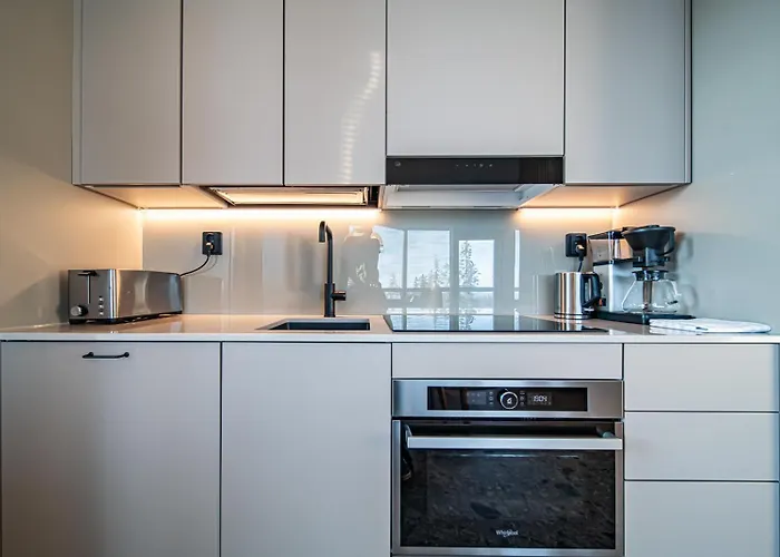 Peak Ski-in Ski-out By Aavalevi Apartament Levi