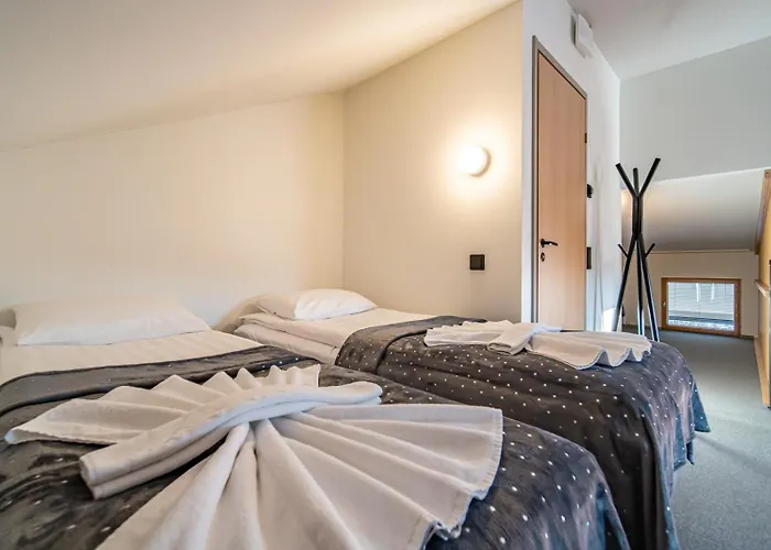 Peak Ski-in Ski-out By Aavalevi Levi